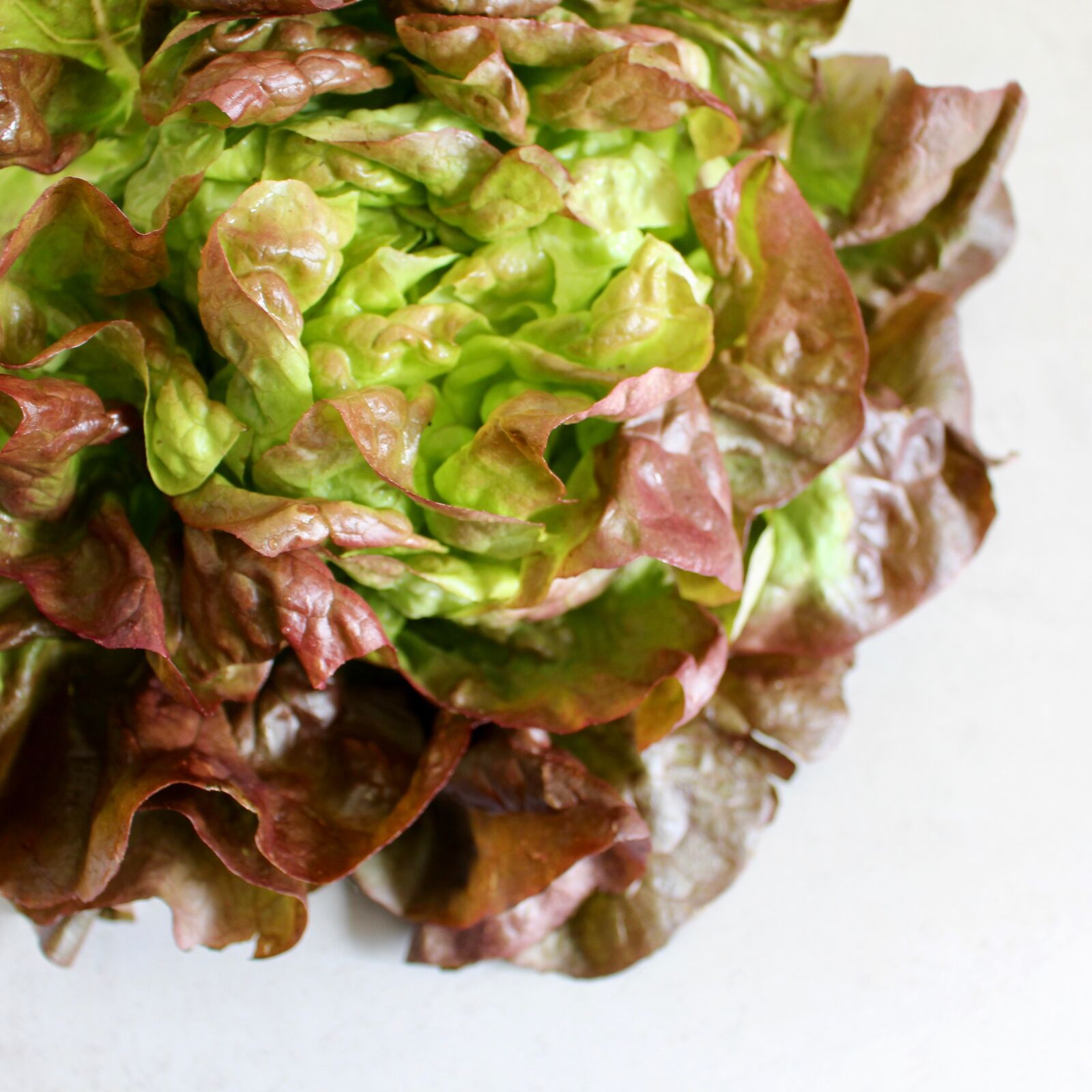 Canon EOS 700D (EOS Rebel T5i / EOS Kiss X7i) sample photo. Lettuce, greens, fresh photography
