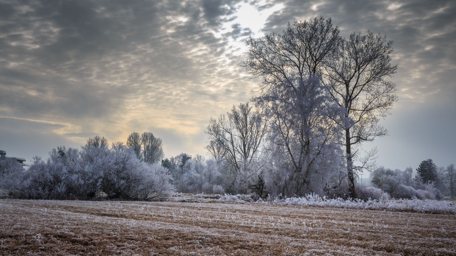 Canon EOS 650D (EOS Rebel T4i / EOS Kiss X6i) sample photo. Ice, cold, winter photography