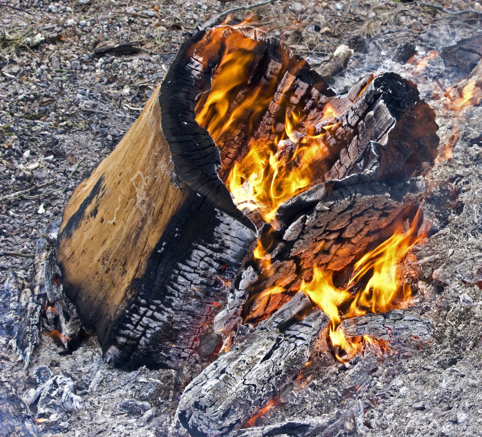 Canon EF-S 55-250mm F4-5.6 IS II sample photo. Log fire, fire, burn photography