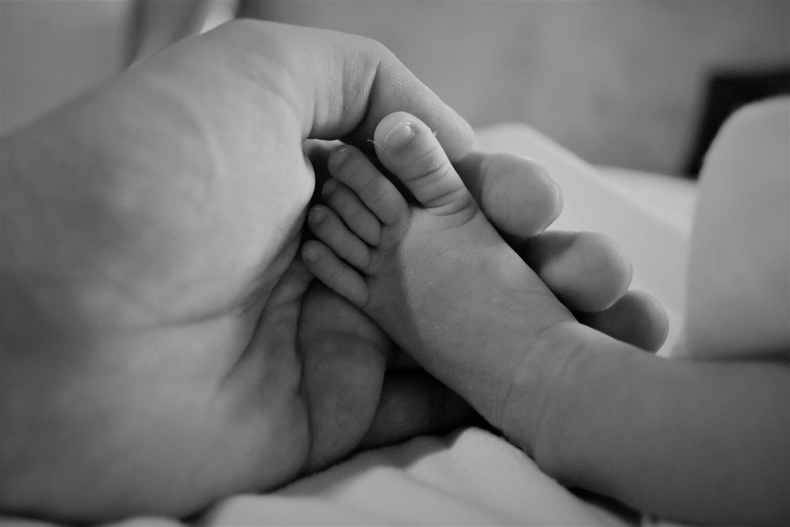 Nikon D5500 sample photo. Baby, newborn, child photography