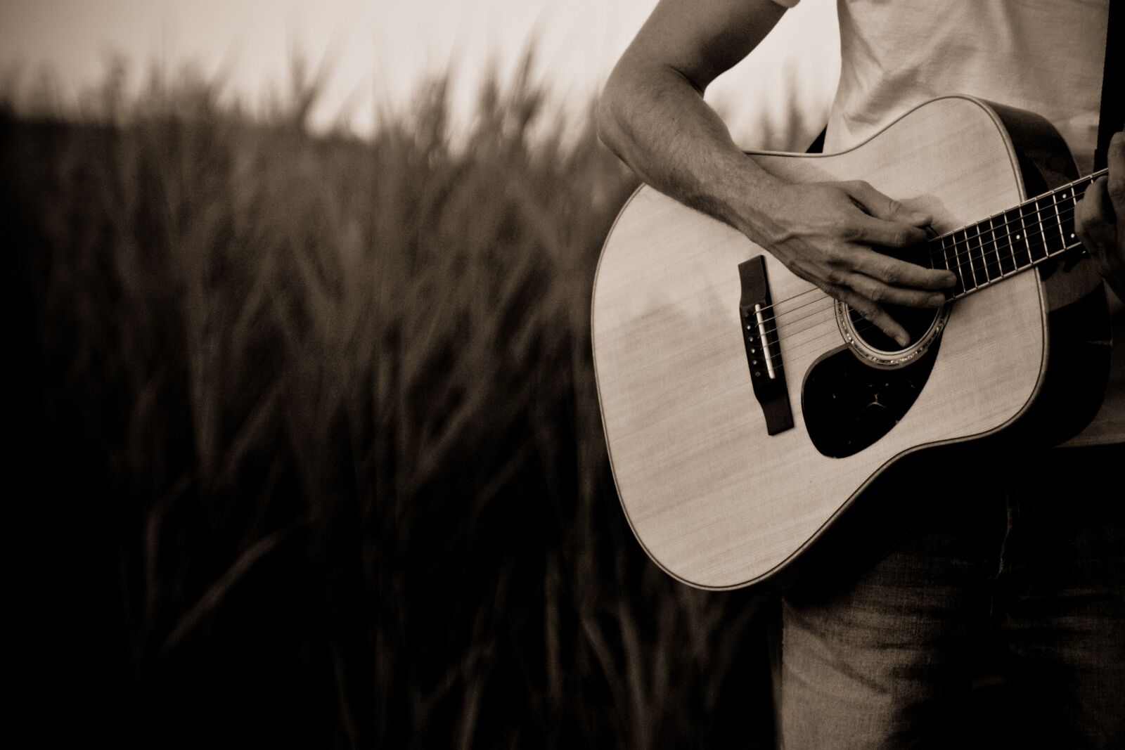 Canon EOS 50D sample photo. Guitar, sepia, corn field photography