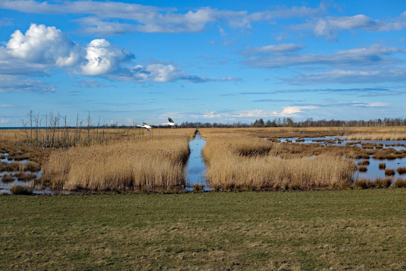 Sony Cyber-shot DSC-RX100 II sample photo. Baltic sea, fischland dar photography