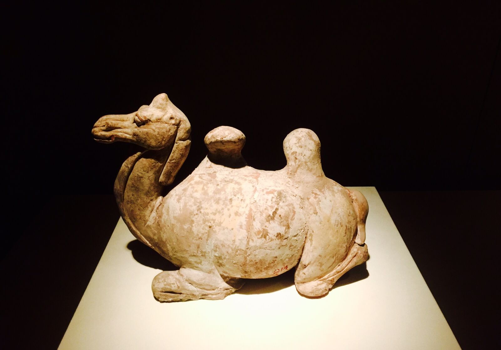 iPhone 6 Plus back camera 4.15mm f/2.2 sample photo. Xi'an, the province of photography