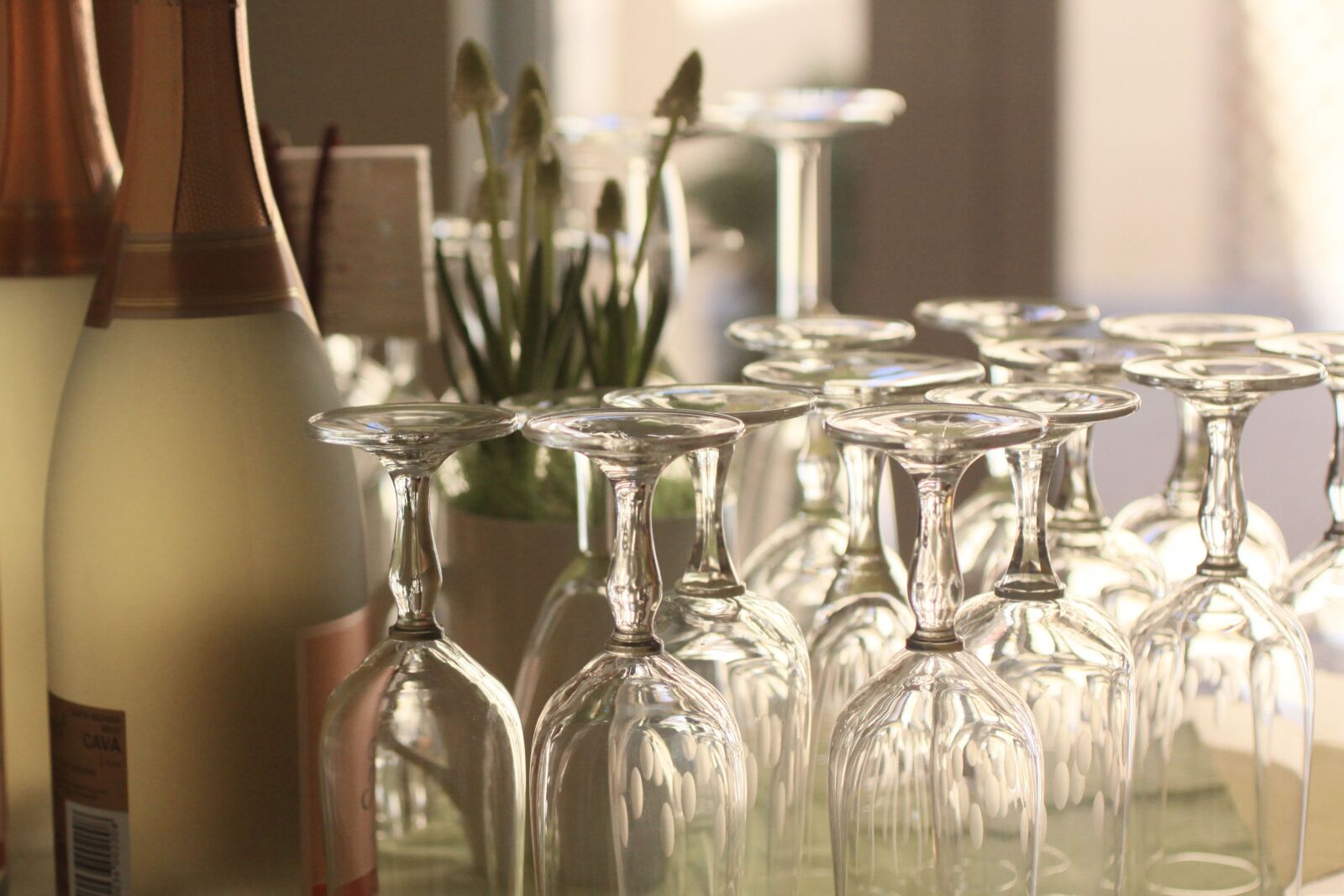 Canon EOS 50D sample photo. Champagne, glasses, champagne glasses photography