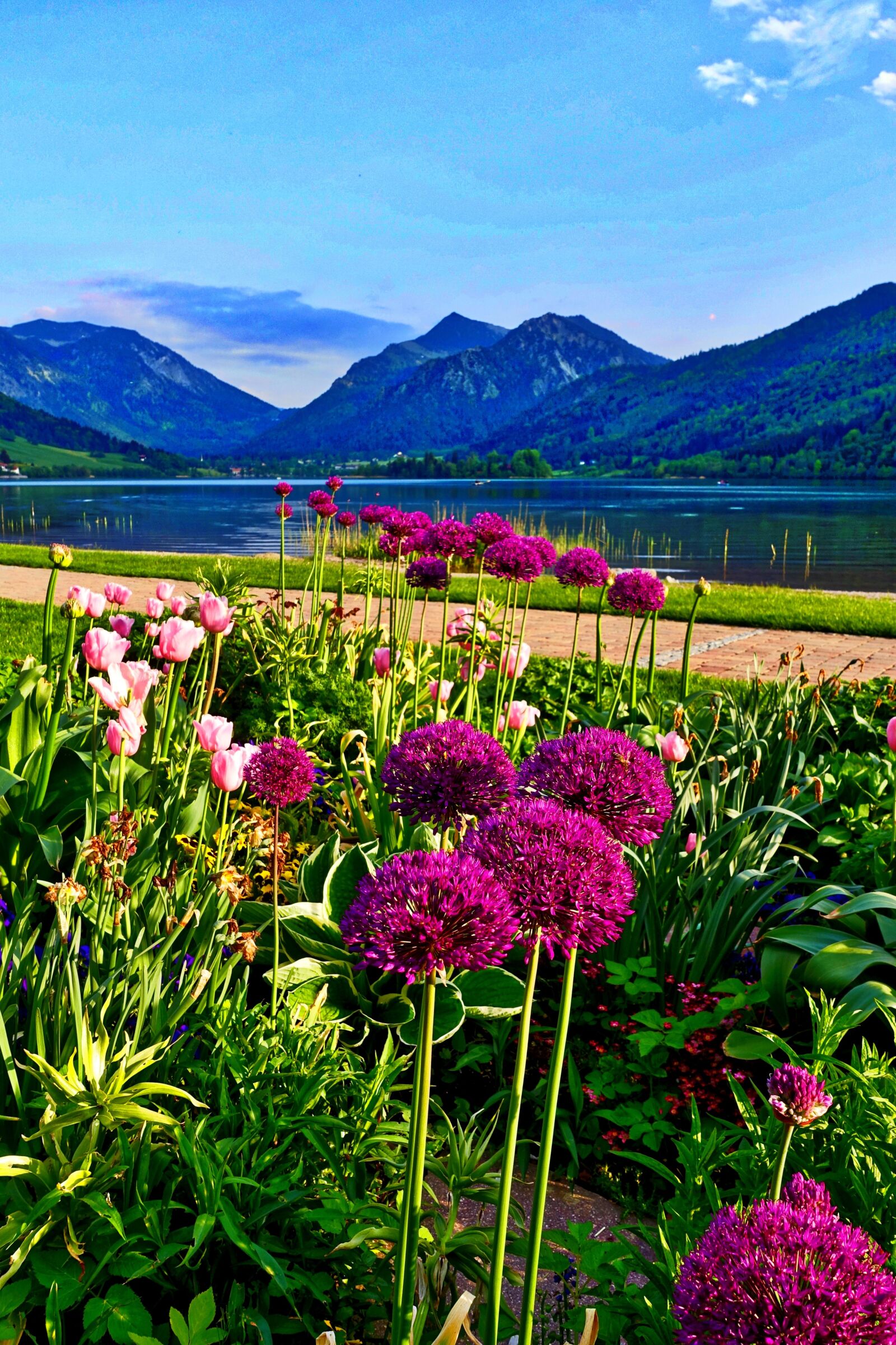 Sony Cyber-shot DSC-RX100 III sample photo. Flowers, mountains, landscape photography