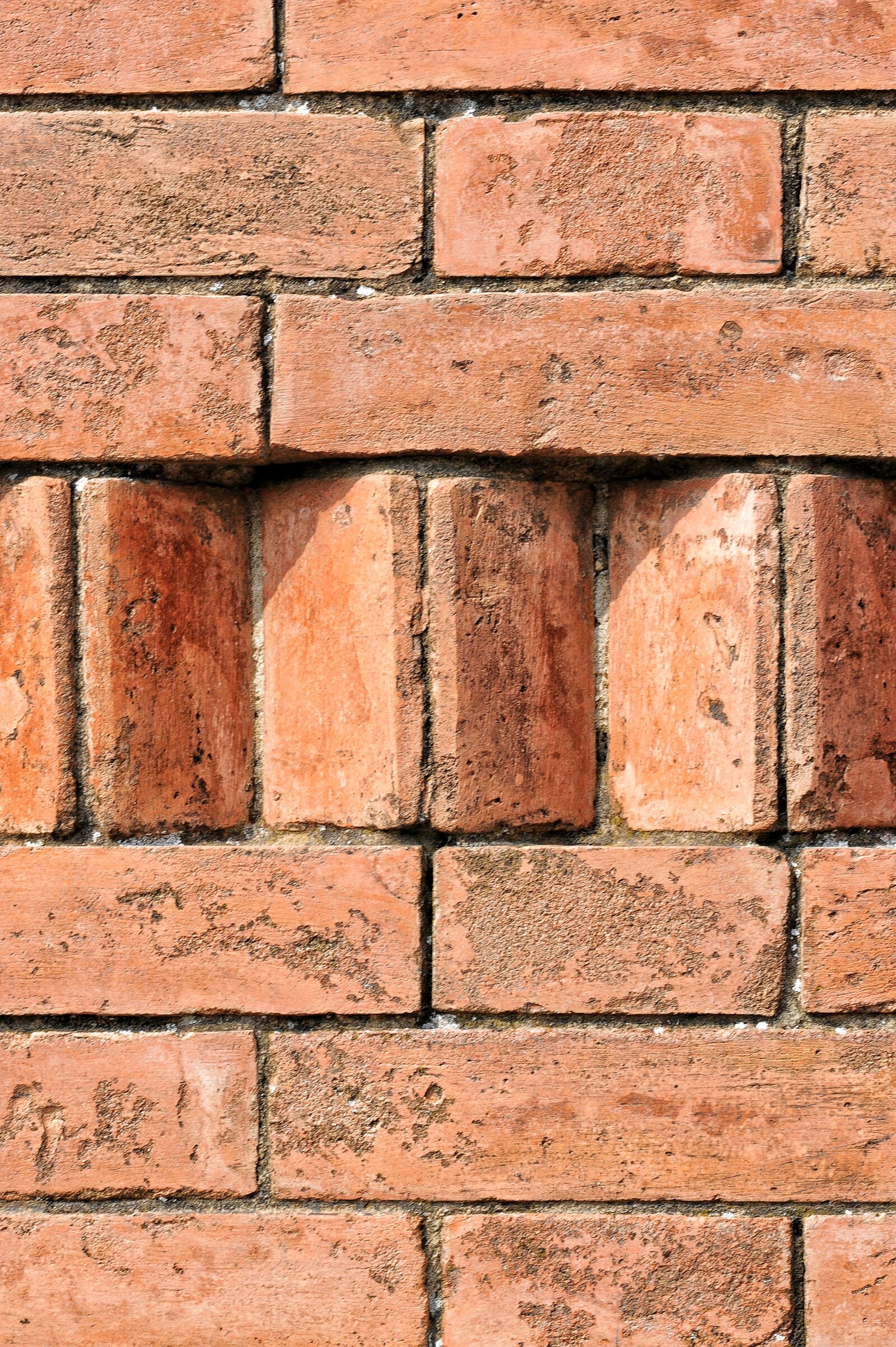 Nikon D700 sample photo. Wall, color, texture photography