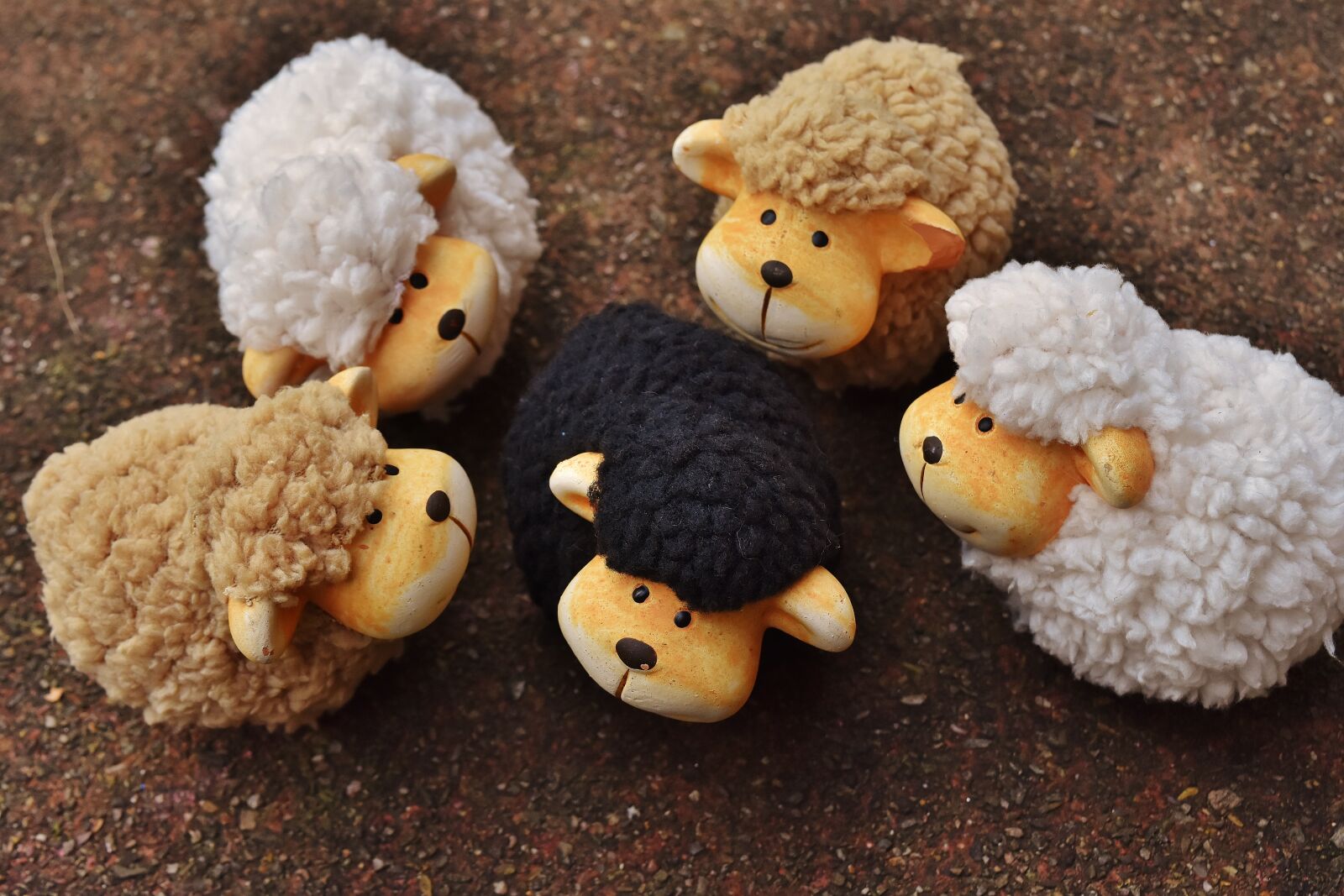 Nikon D7200 sample photo. Sheep, animals, deco photography
