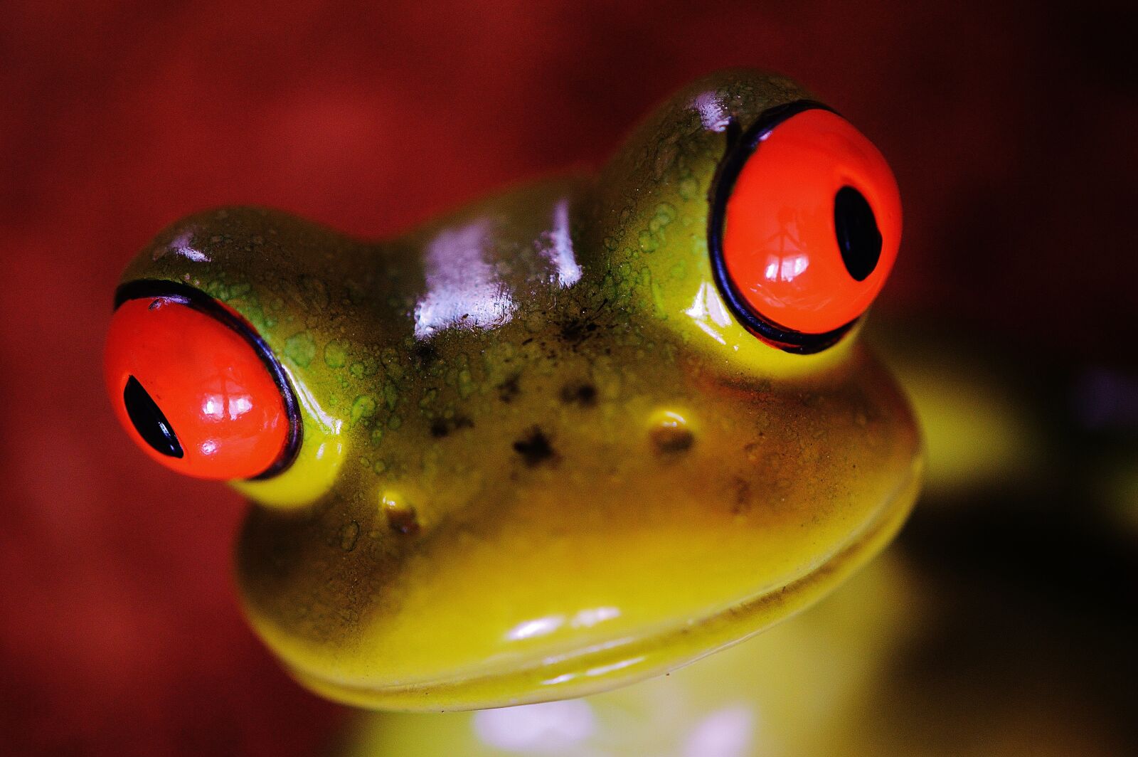 Nikon D3200 sample photo. Frog, funny, figure photography