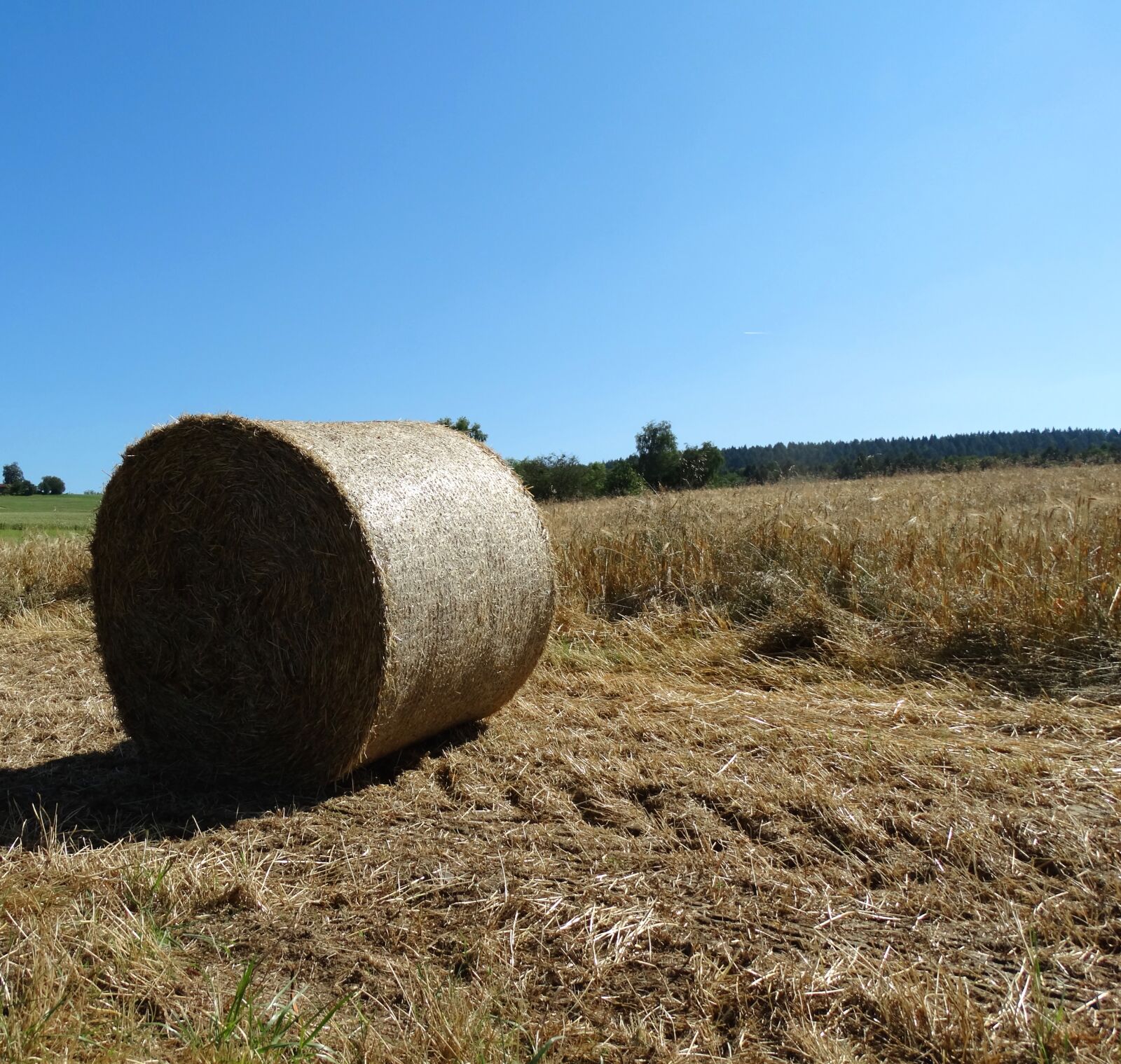 Sony Cyber-shot DSC-HX300 sample photo. Hay bales, bale, agriculture photography
