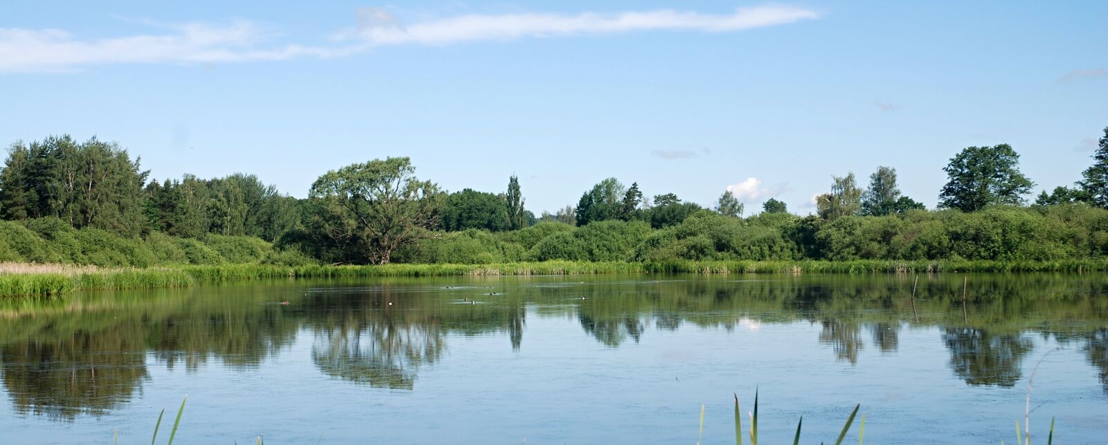 Nikon D80 sample photo. Landscape, pond, water photography