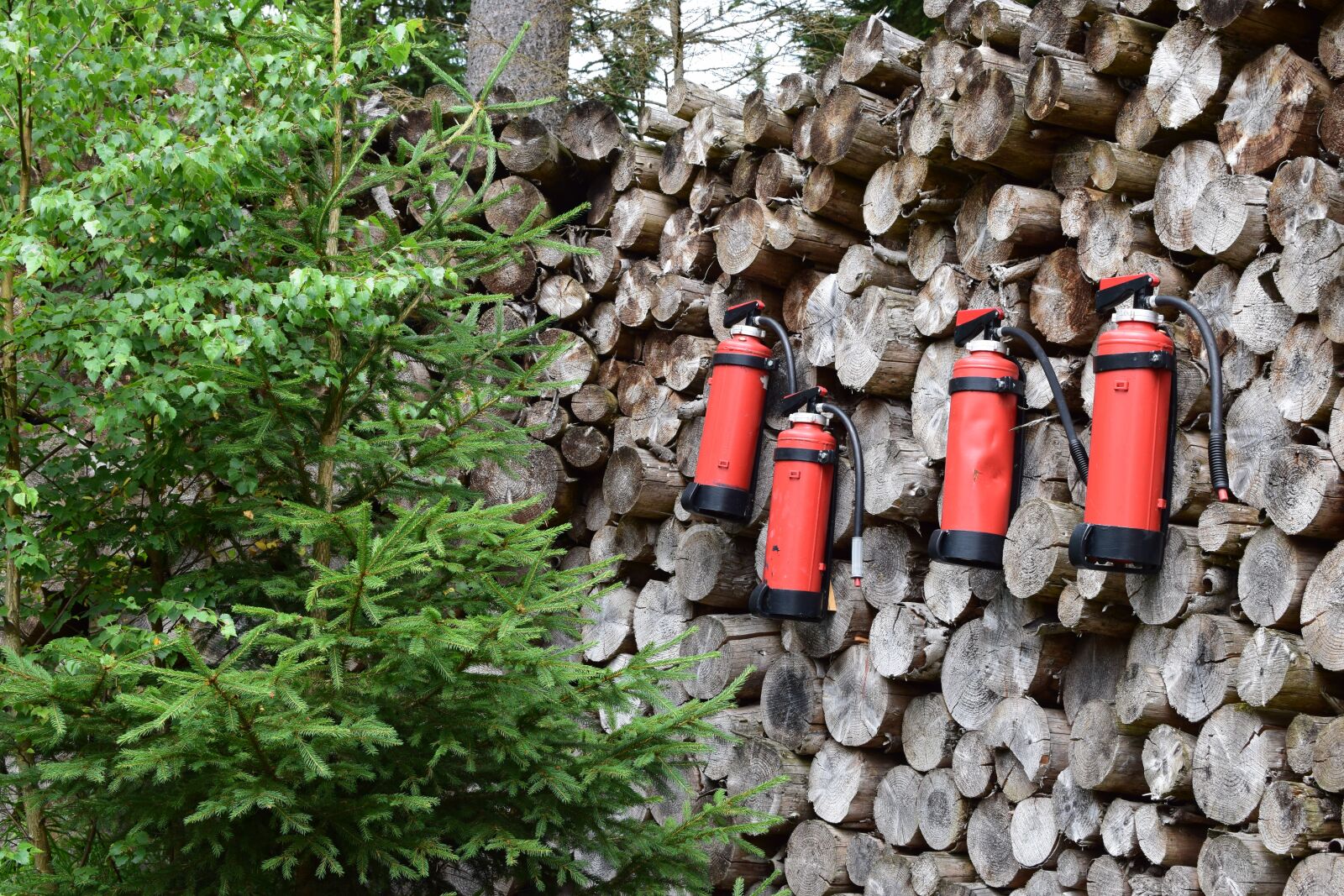 Nikon D5300 sample photo. Fire extinguisher, wood, forest photography