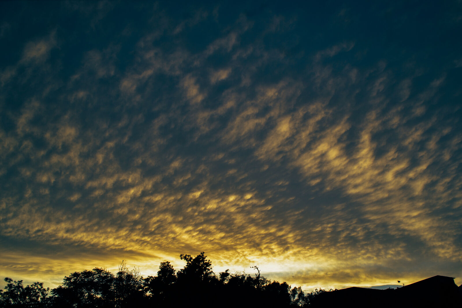 Nikon D3100 sample photo