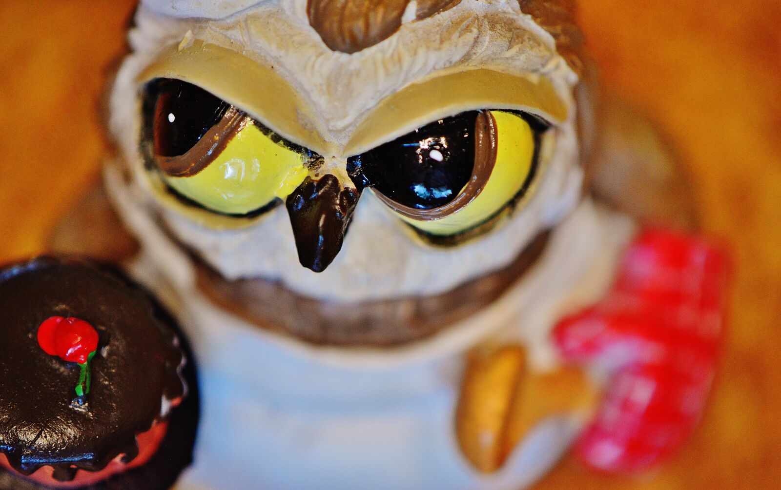 Nikon D3200 sample photo. Owl, bake, baker photography
