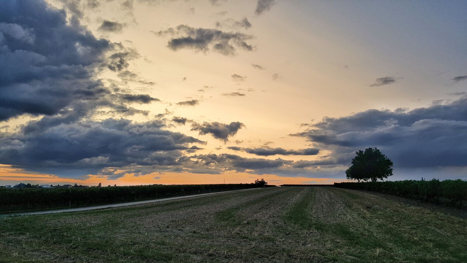 Samsung Galaxy S6 sample photo. Sunset, field, nature photography