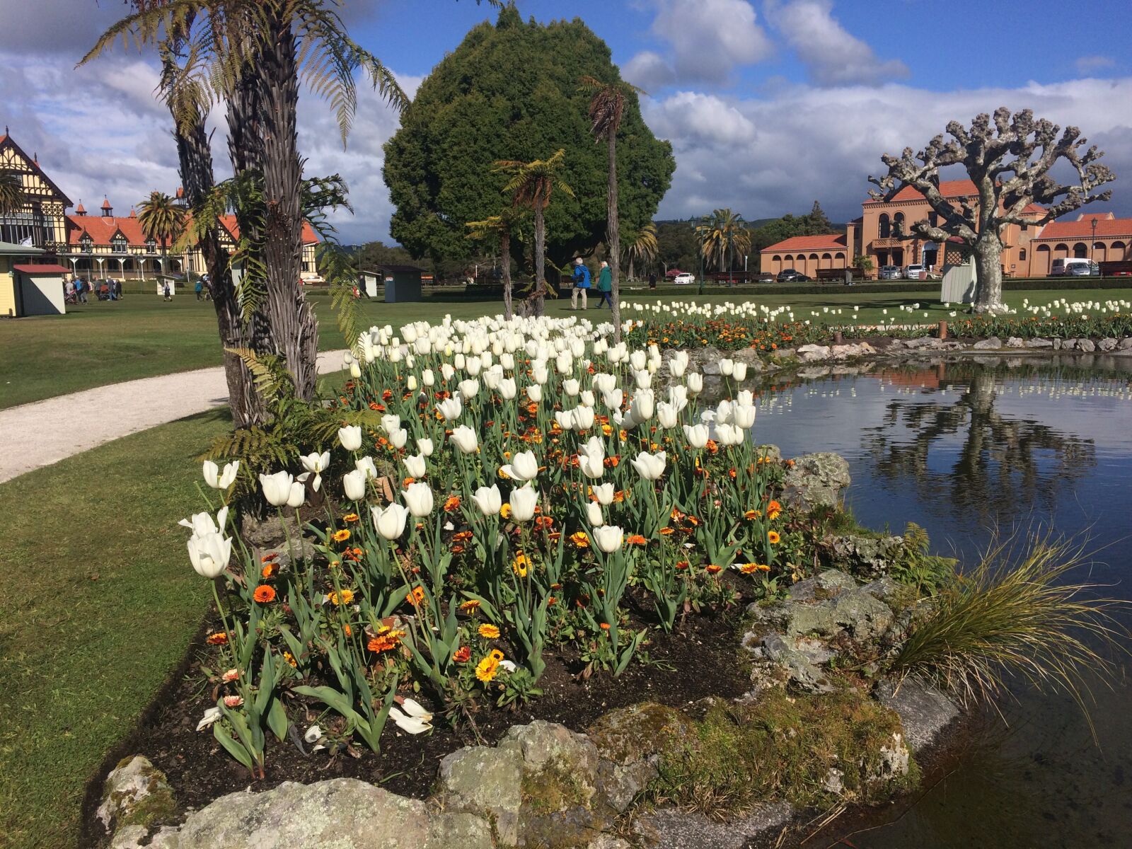 iPhone 5s back camera 4.15mm f/2.2 sample photo. Rotorua, city garden, flowers photography