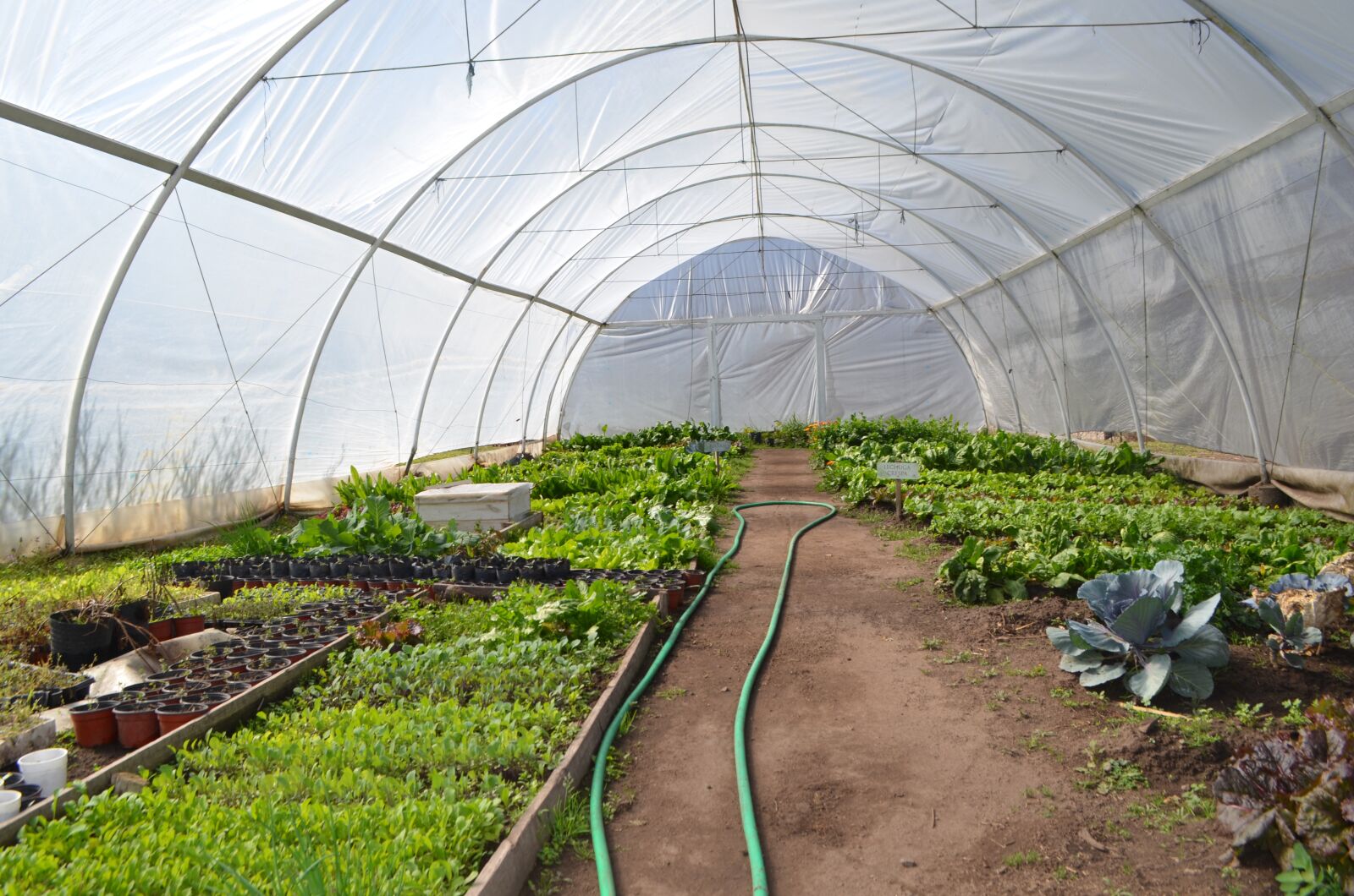 Nikon D5100 sample photo. Nursery, greenhouse, planting photography