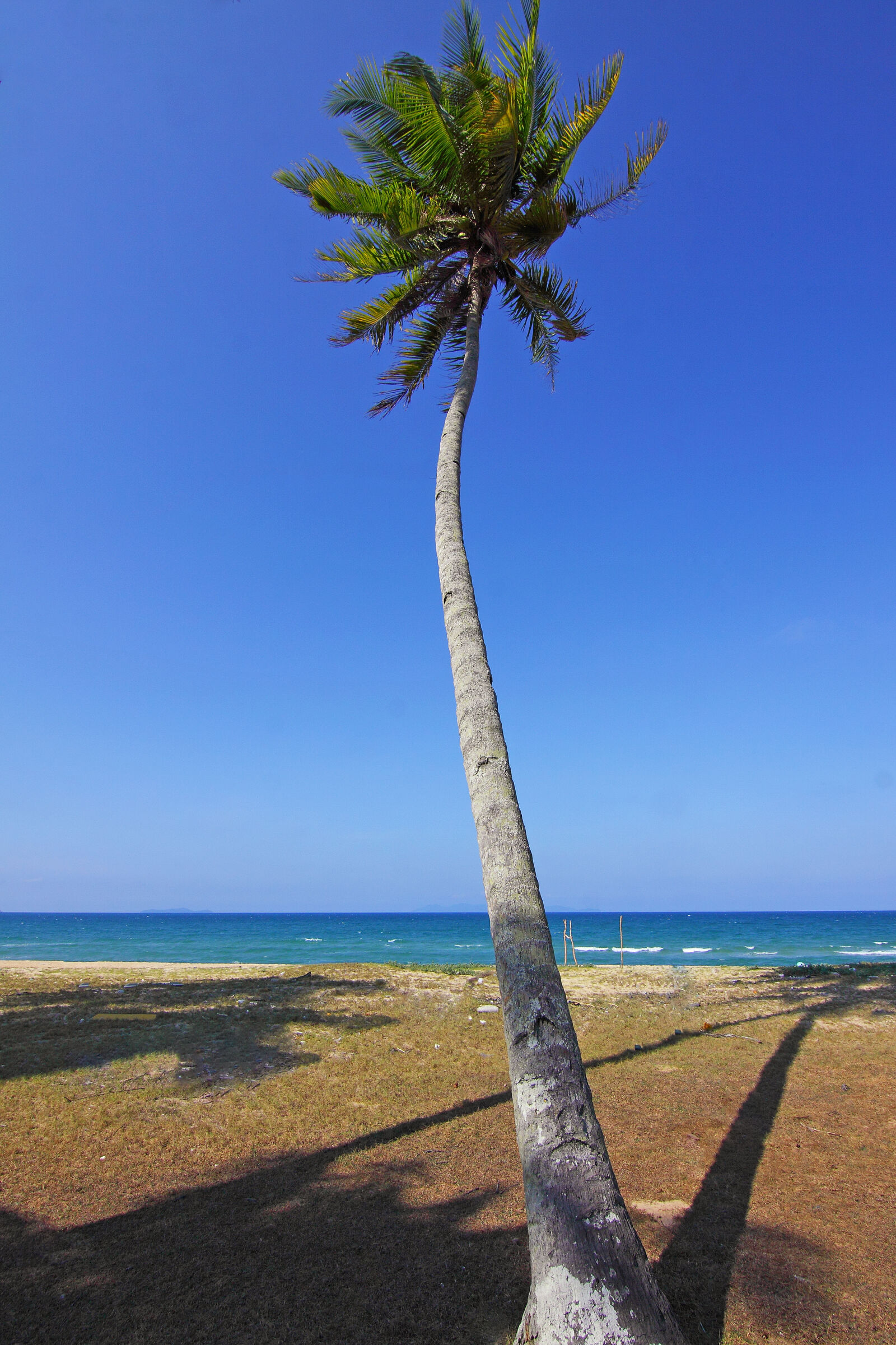 Canon EOS 50D sample photo. Beach, blue, daylight, idyllic photography