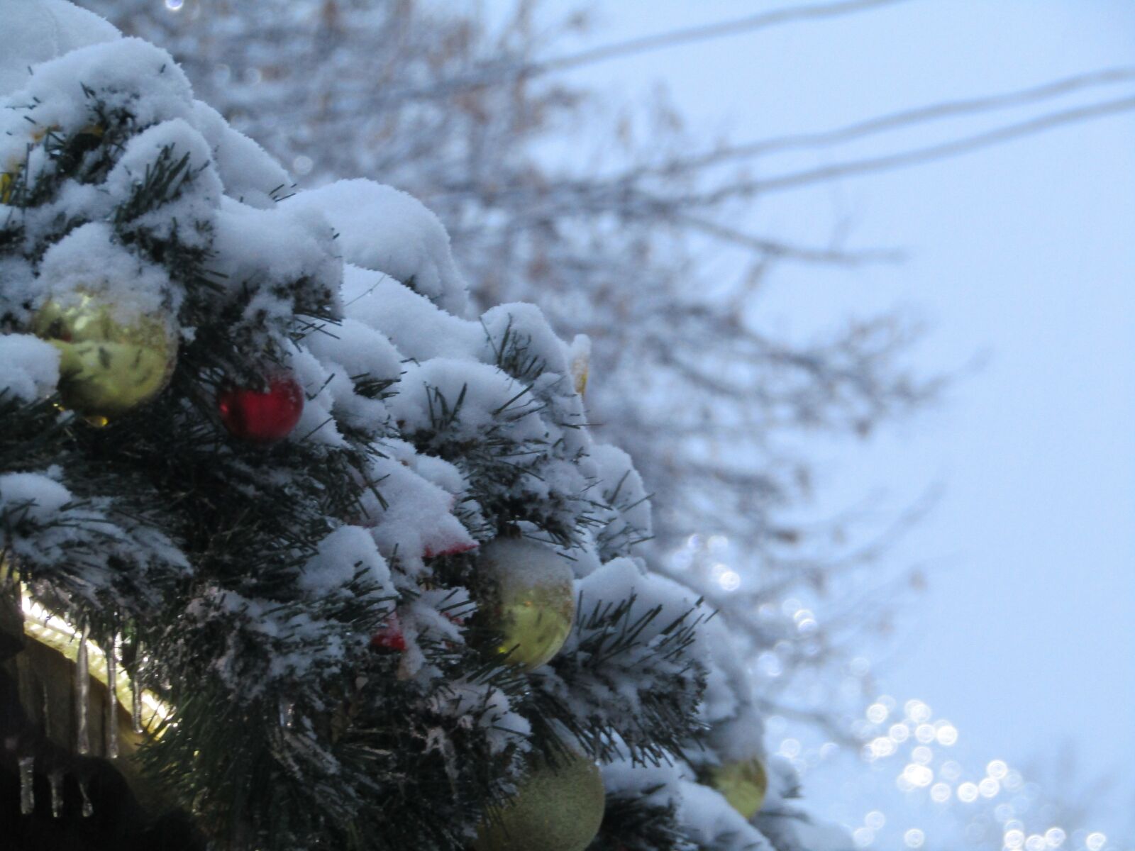 Canon POWERSHOT SX412 IS sample photo. New year, winter, snow photography
