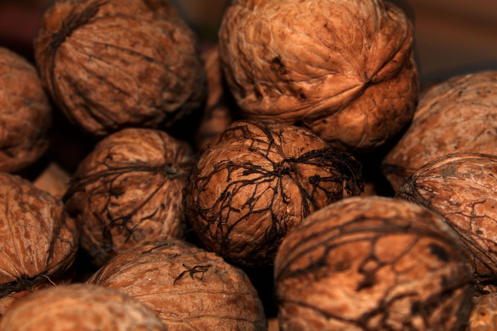 Canon EOS 1300D (EOS Rebel T6 / EOS Kiss X80) sample photo. Nut, food, walnut photography