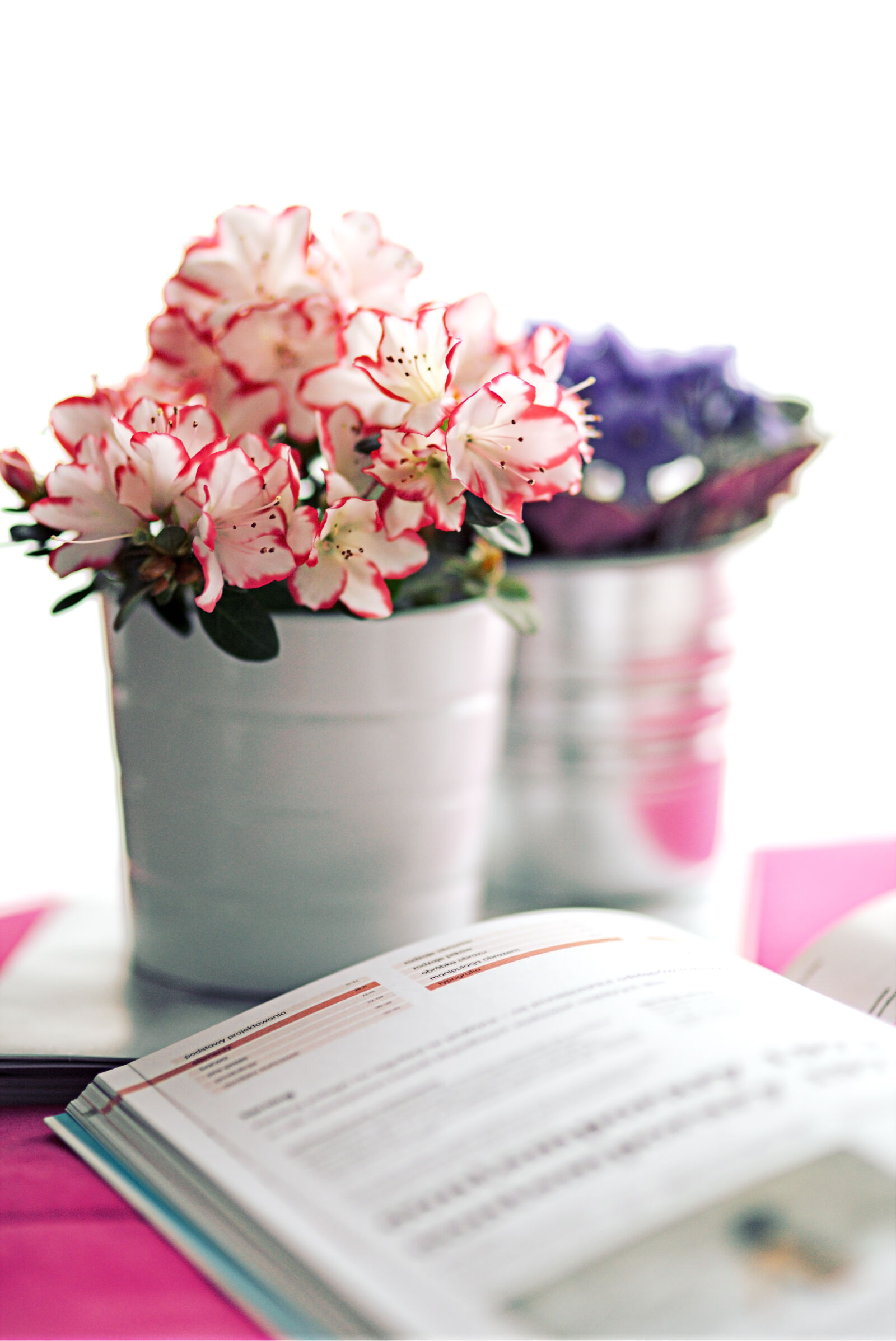 Canon EOS 6D sample photo. Azalea, in, a, white photography