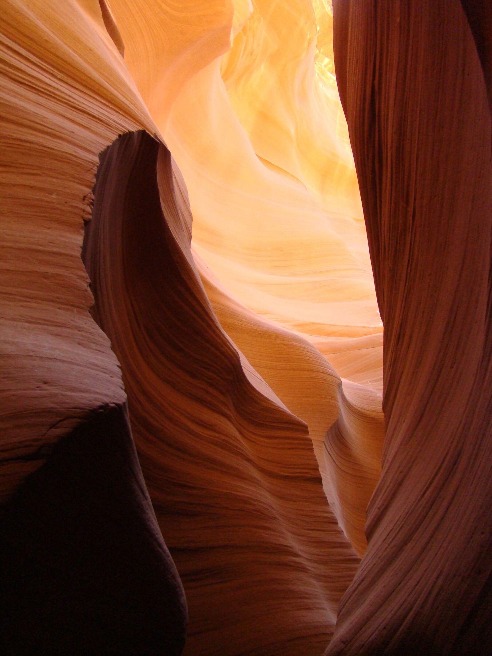 Sony DSC-H9 sample photo. Sunlight, arizona, outdoor photography