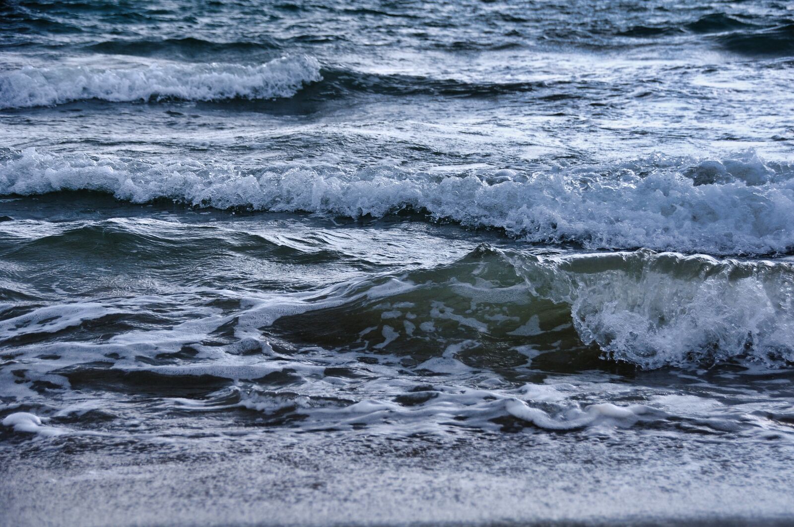 Nikon D300S sample photo. Sea, close up, zoom photography