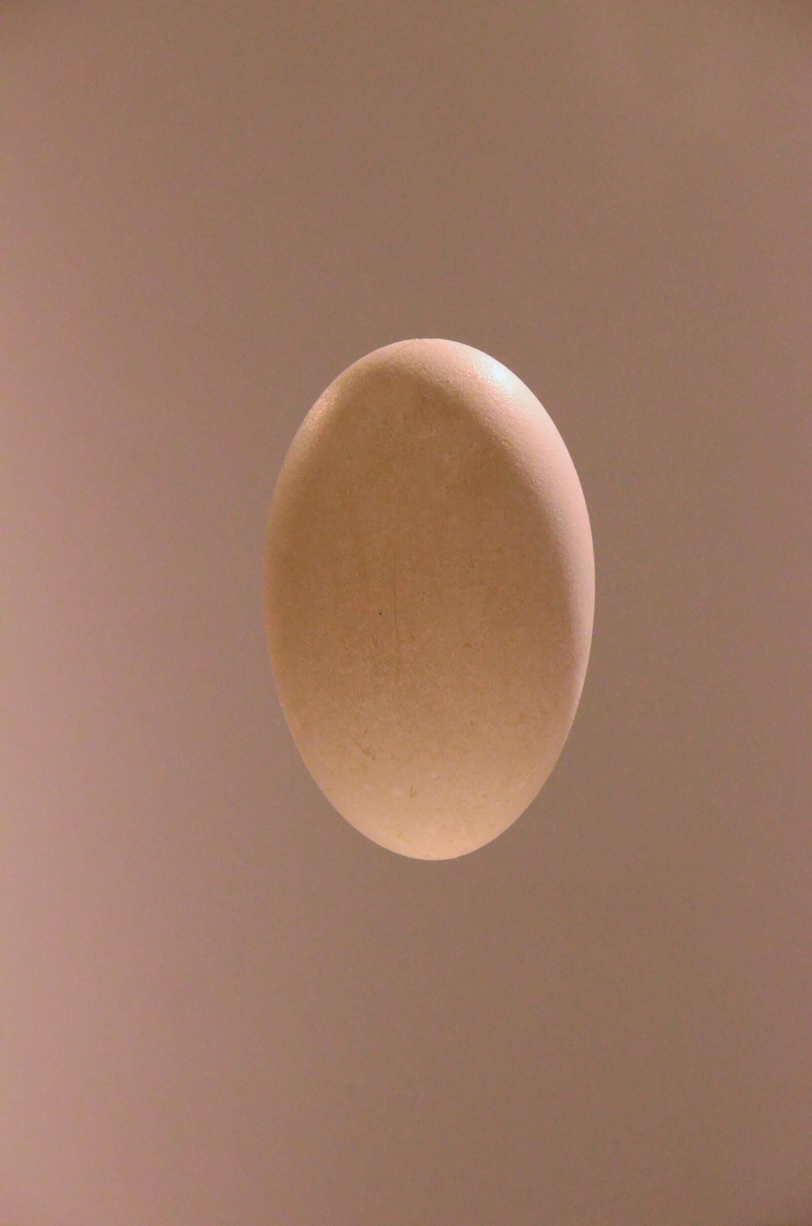 Nikon D7000 sample photo. Egg, oval, taupe photography