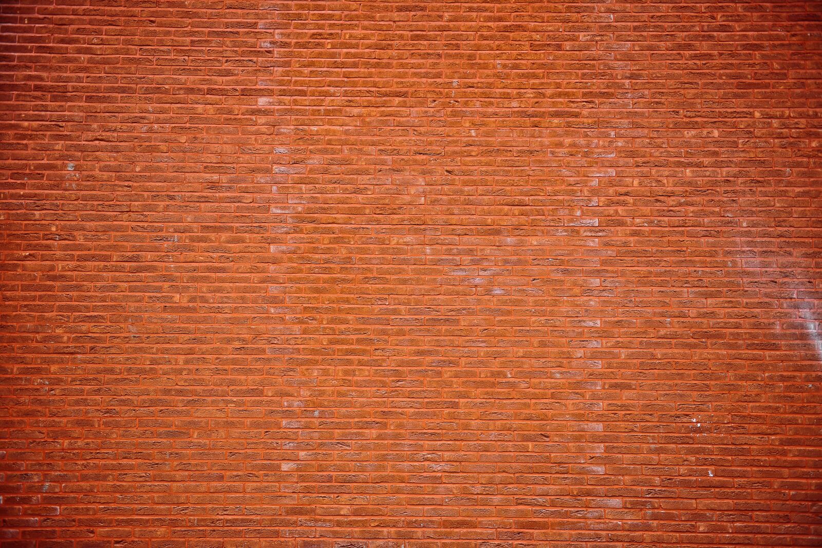 Nikon D3X sample photo. Wall, brick, texture photography