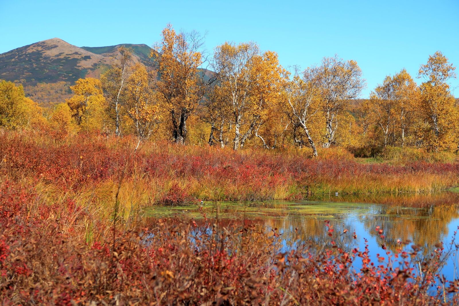 Canon PowerShot G7 X Mark II sample photo. Autumn, lake, mountains photography