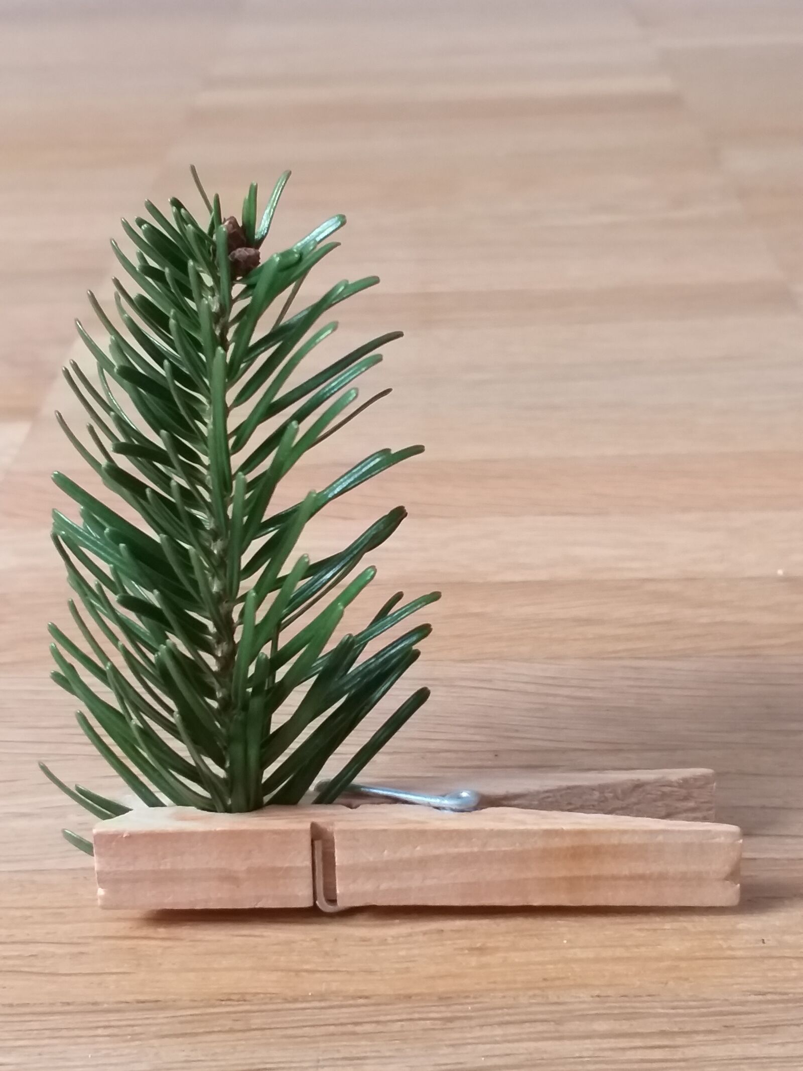 Samsung Galaxy A6+ sample photo. Christmas, tree, clothes peg photography