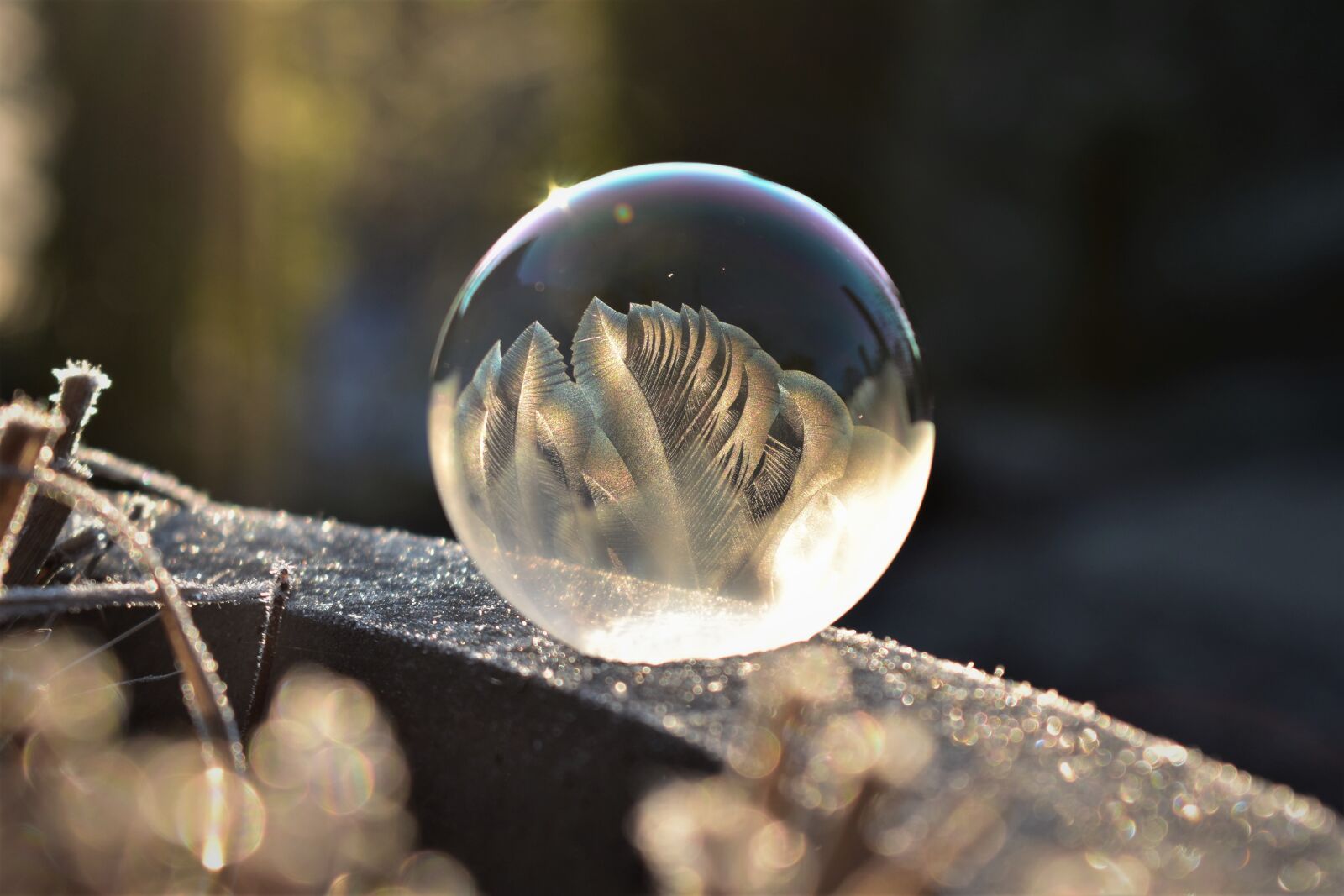 Nikon D5500 sample photo. Soap bubble, frozen, eiskristalle photography