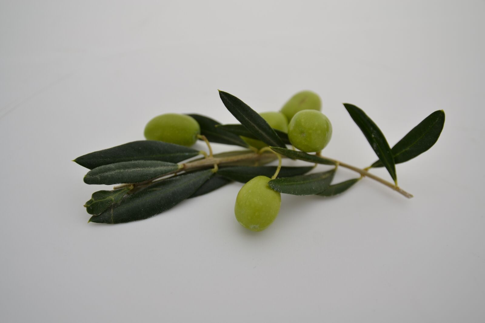 Nikon D3100 sample photo. Oil, ingredient, natural photography