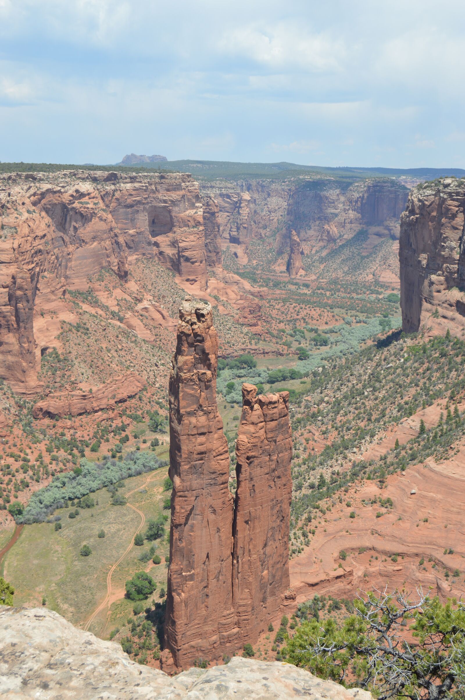 Nikon D3200 sample photo. Canyon, de chelly, spider photography
