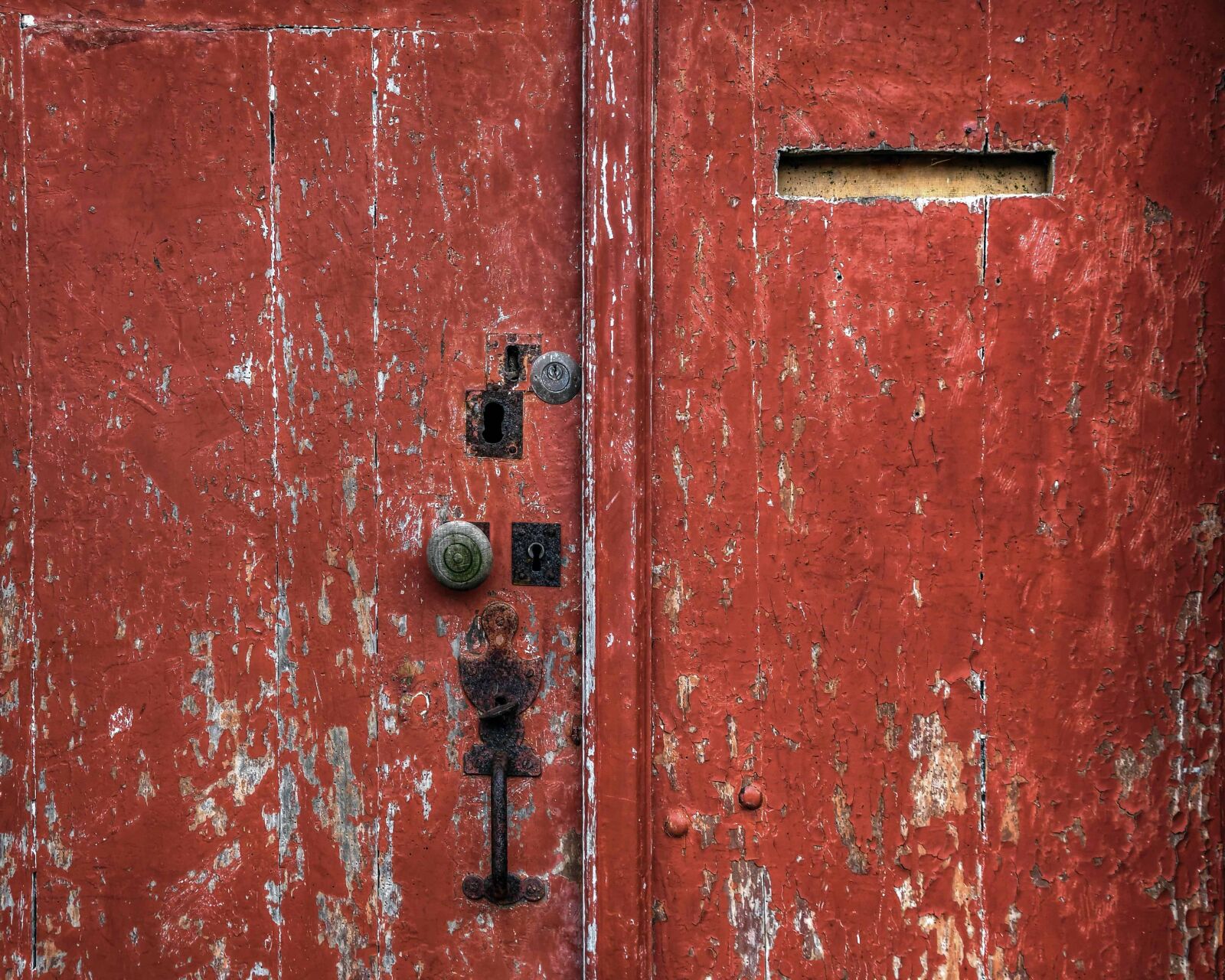 Nikon D500 sample photo. Entrance, door, old, texture photography