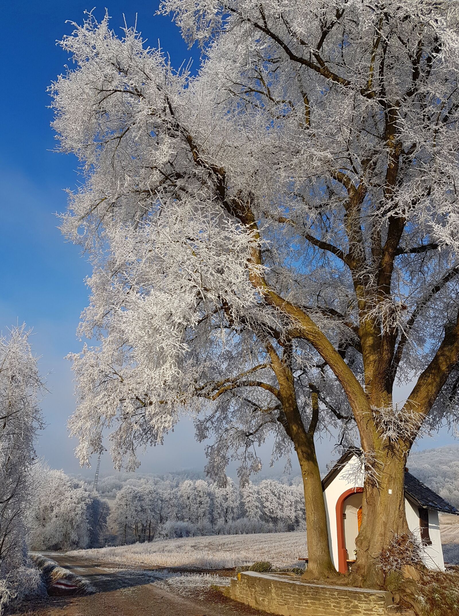 Samsung Galaxy S7 sample photo. Winter, cold, wintry photography