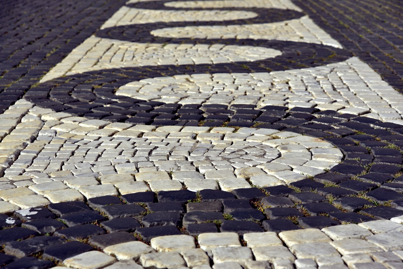 Nikon D750 sample photo. Patch, paving stones, cobblestones photography