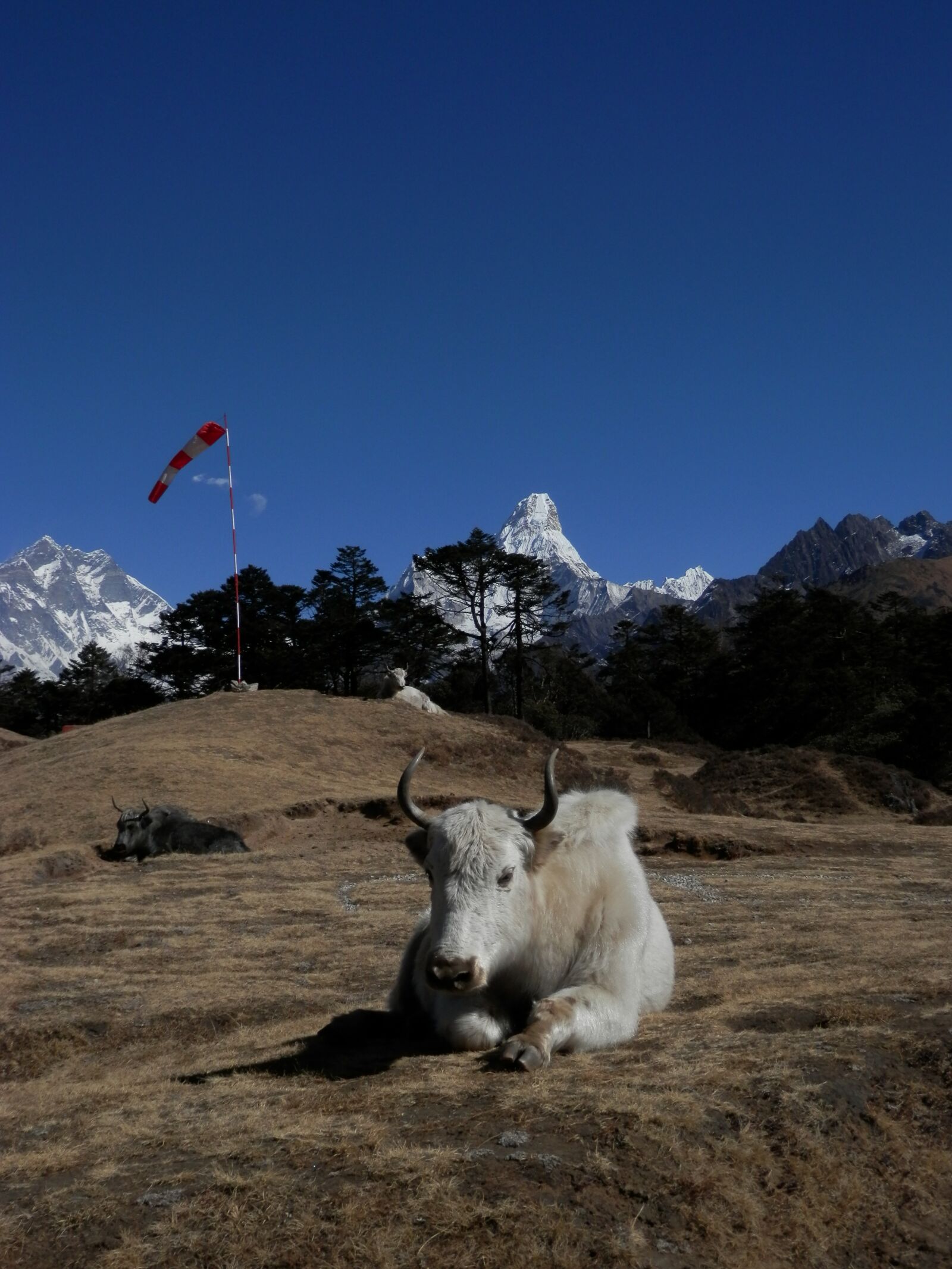 Olympus SZ-14 sample photo. Everest, lhotse, nepal photography