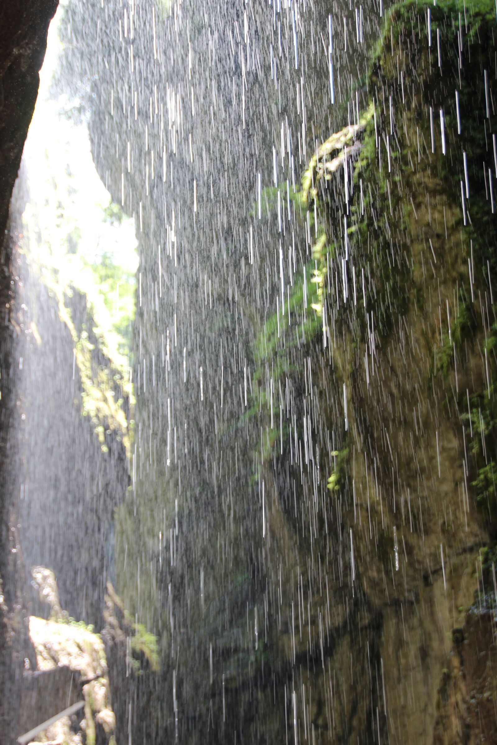 Canon EOS 600D (Rebel EOS T3i / EOS Kiss X5) sample photo. Rain, water, rainwater photography