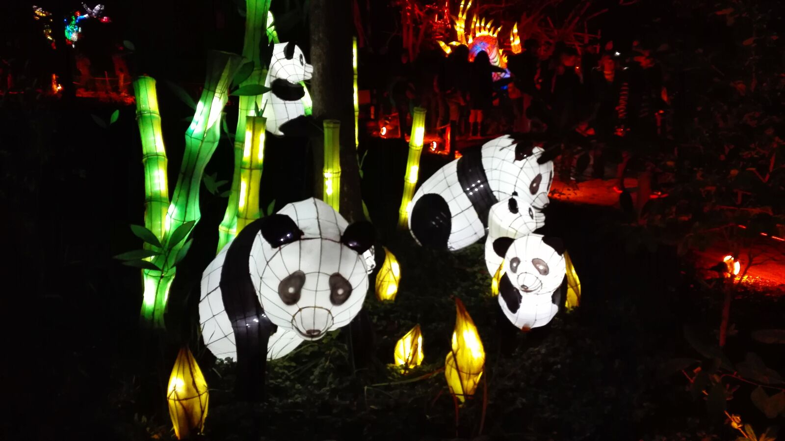 HUAWEI P8 Lite sample photo. Montr al, botanical garden photography