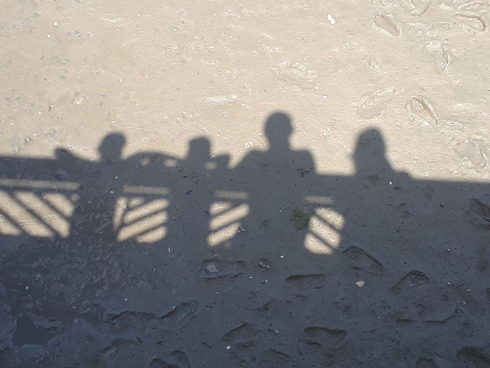 Samsung Galaxy A5(2017) sample photo. Sun, shadow, family photography