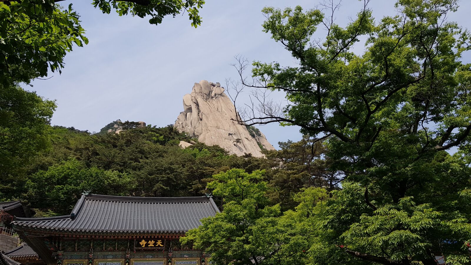 Samsung Galaxy S8+ sample photo