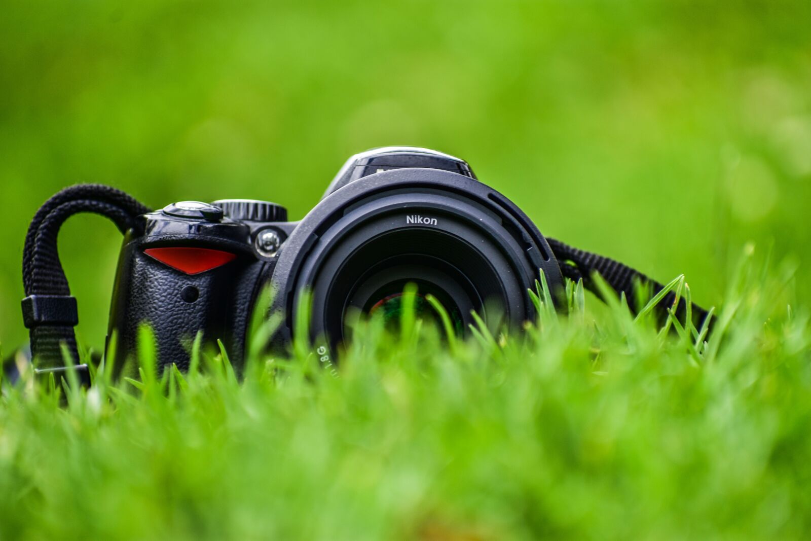 Nikon D3400 sample photo. Camera in plain, camera photography