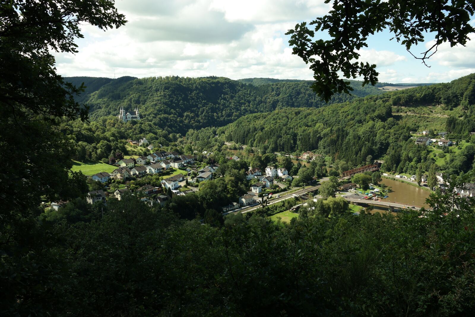 Samsung NX2000 sample photo. Panoramic, tree, nature photography