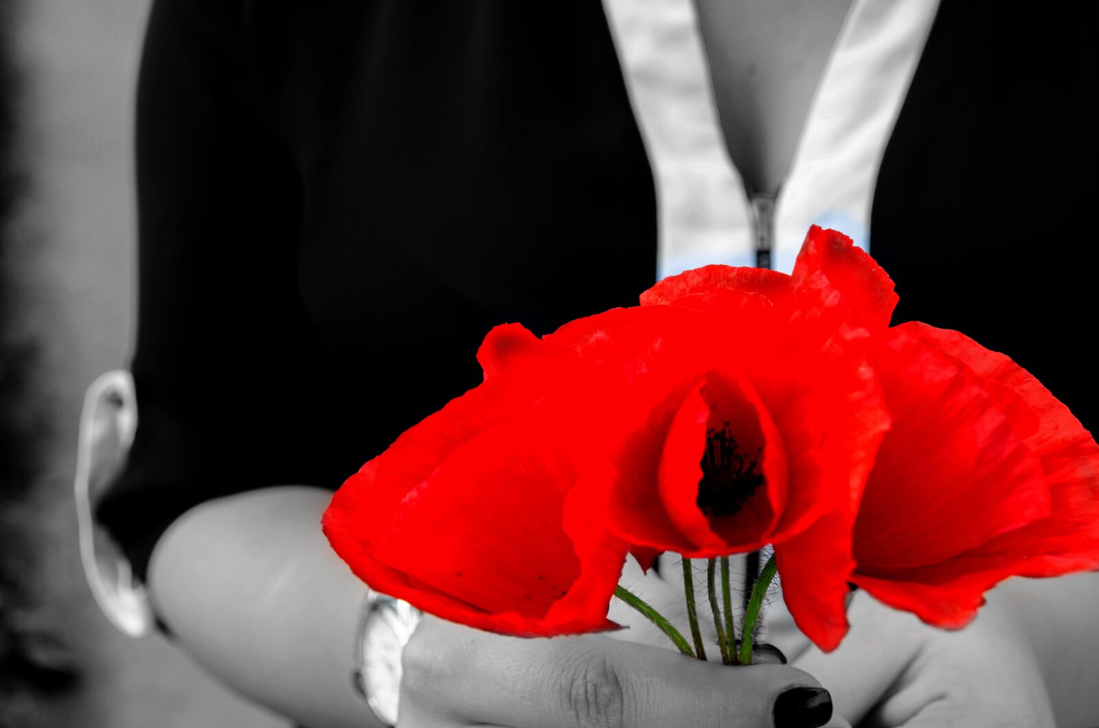 Nikon D7000 sample photo. Summer, flower, amazing love photography