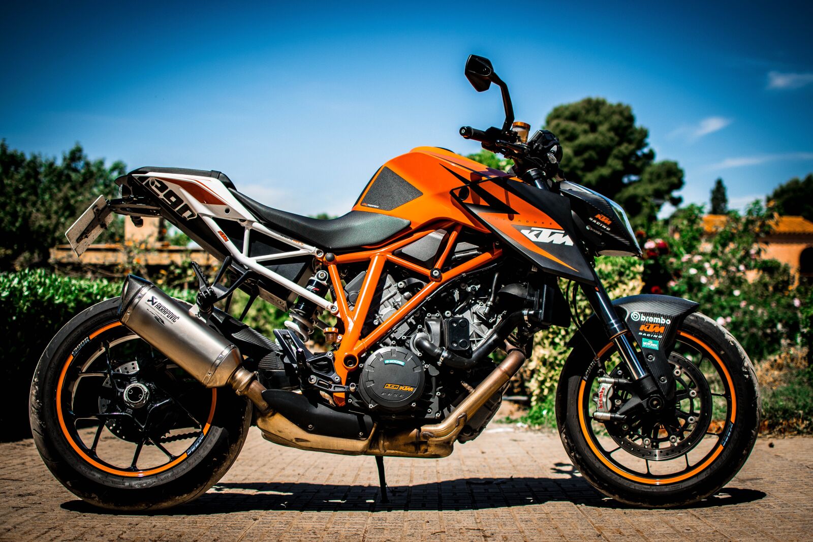 Nikon D3300 sample photo. Superduke, super, duke photography