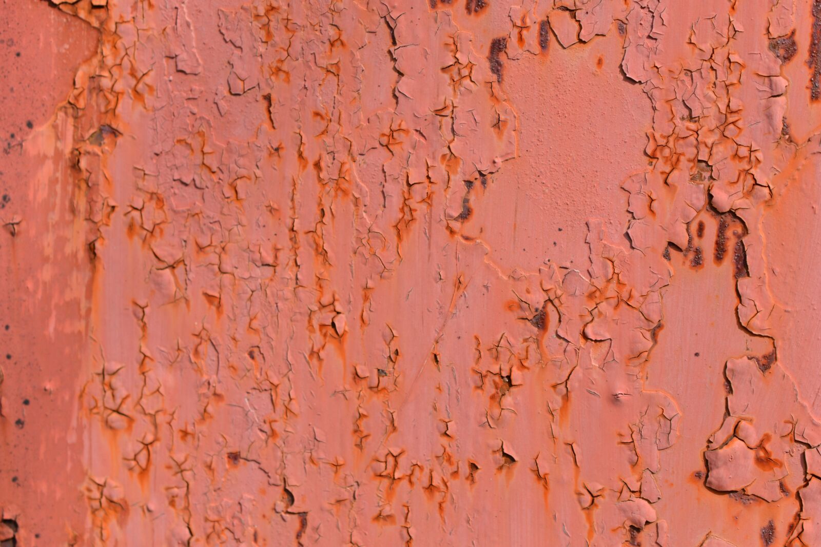 Nikon D3100 sample photo. Rust, paint, old photography