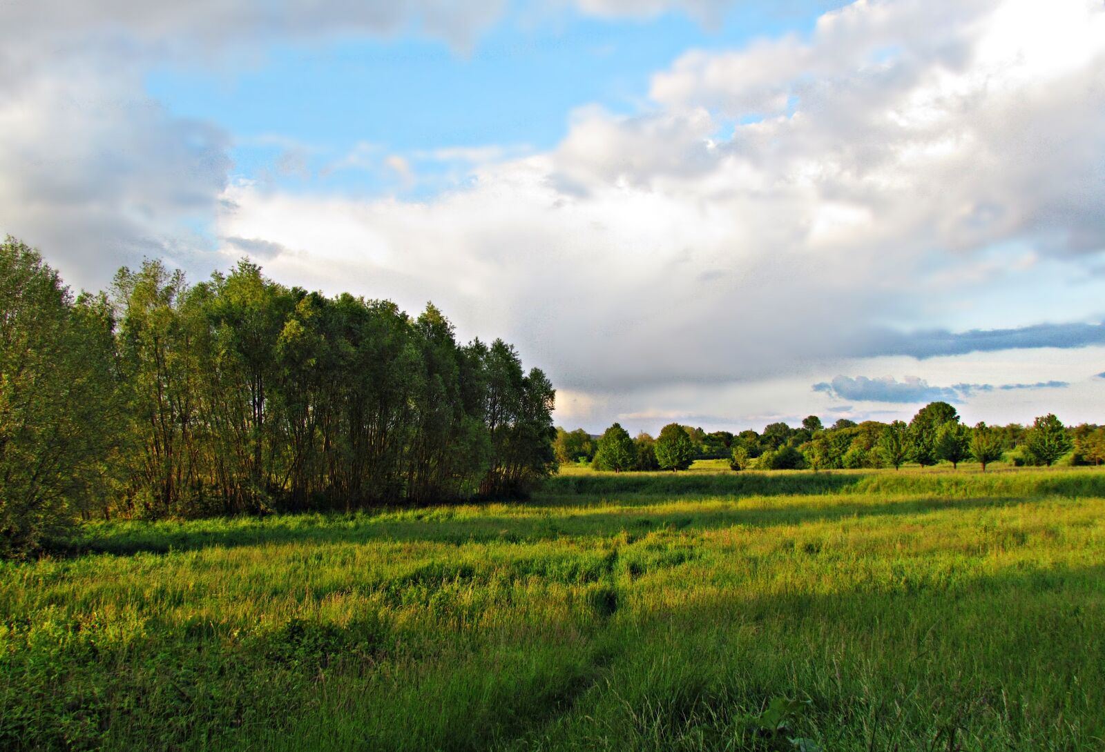 Canon PowerShot SX30 IS sample photo. Field, meadow, clouds photography