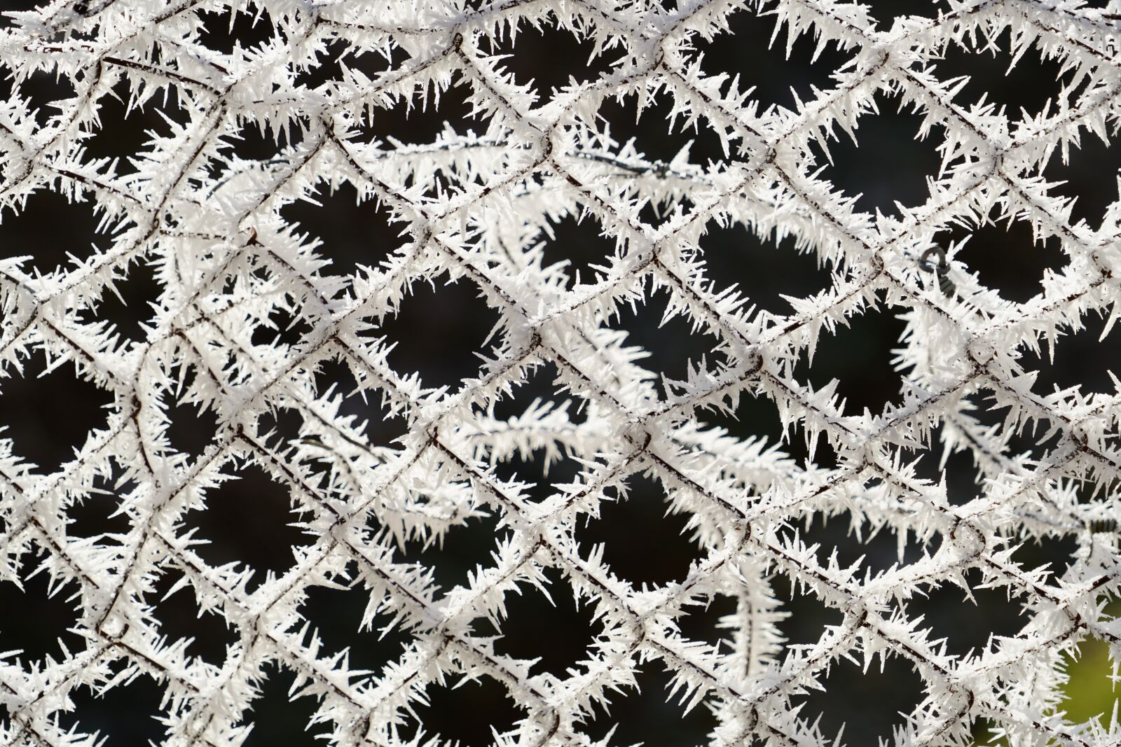 Sony a7R II + Sony FE 24-240mm F3.5-6.3 OSS sample photo. Fence, hoarfrost, snow crystals photography