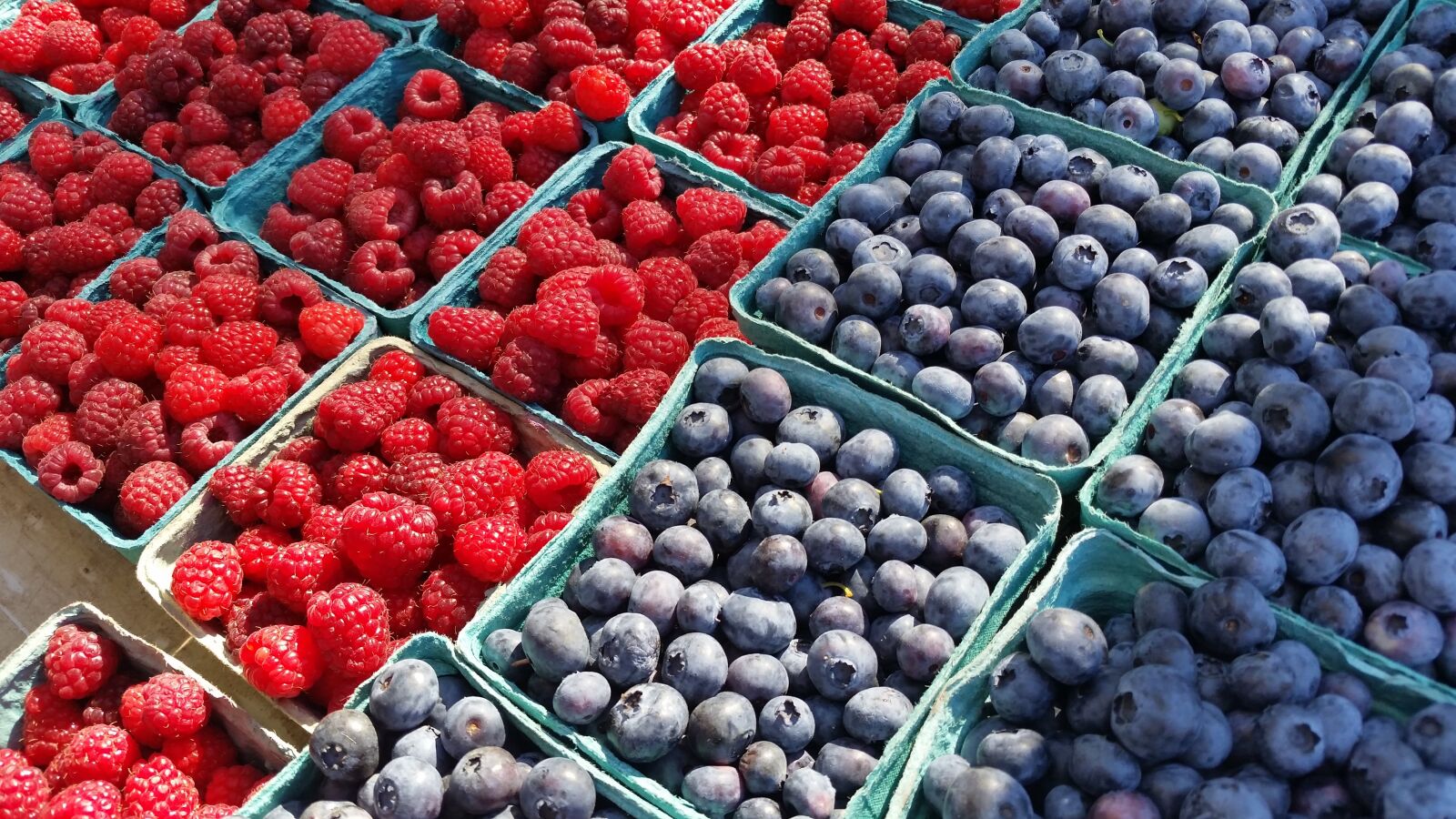 Samsung Galaxy S5 sample photo. Blueberries, blueberry, fruit photography