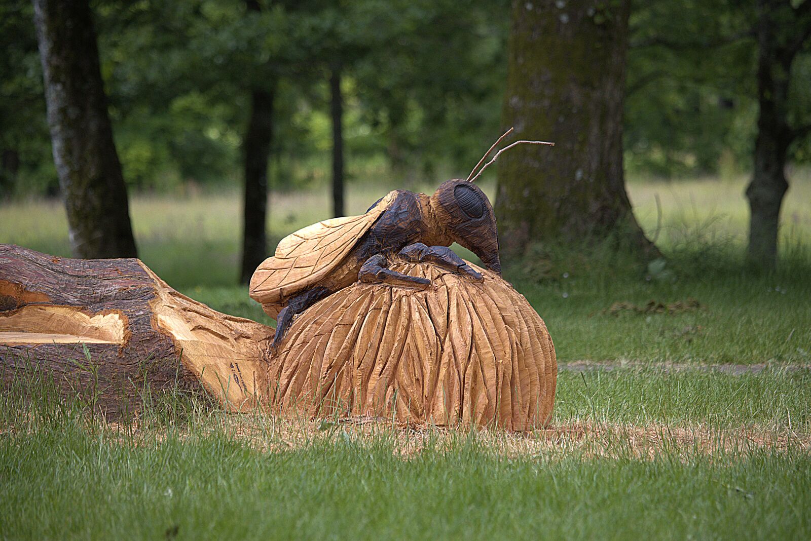 Canon EOS 90D sample photo. Chainsaw, sculpture, bee photography